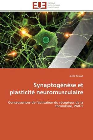 Synaptogenese Et Plasticite Neuromusculaire: Etat Des Lieux Et Perspectives de Brice Faraut