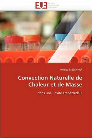 Convection Naturelle de Chaleur Et de Masse: Relations Complementaires Ou Conflictuelles? de Ahmed MEZENNER