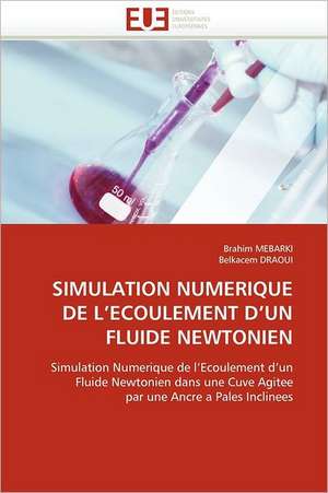 Simulation Numerique de L'Ecoulement D'Un Fluide Newtonien: Un Enjeu Pour Les Acteurs de L'Aide Aux Refugies de Brahim MEBARKI