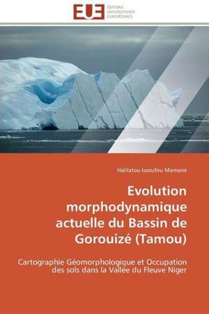 Evolution Morphodynamique Actuelle Du Bassin de Gorouize (Tamou): Ong de Developpement, Nouveaux Acteurs de La Migration ? de Halilatou Issoufou Mamane