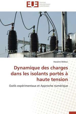 Dynamique Des Charges Dans Les Isolants Portes a Haute Tension: Mode de Traitement de L'Information Et Observance Aux Arv de Hassène Bédoui