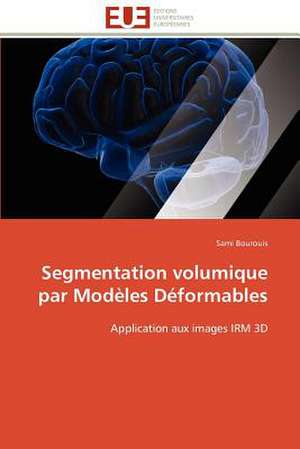 Segmentation volumique par Modèles Déformables de Sami Bourouis