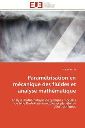 Parametrisation En Mecanique Des Fluides Et Analyse Mathematique