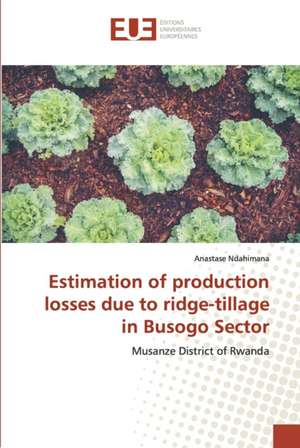 Estimation of production losses due to ridge-tillage in Busogo Sector de Anastase Ndahimana