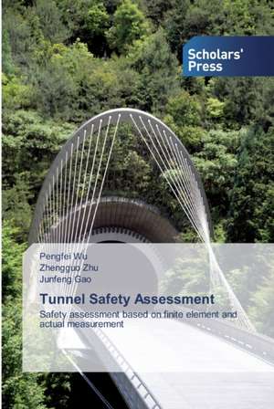 Tunnel Safety Assessment de Pengfei Wu