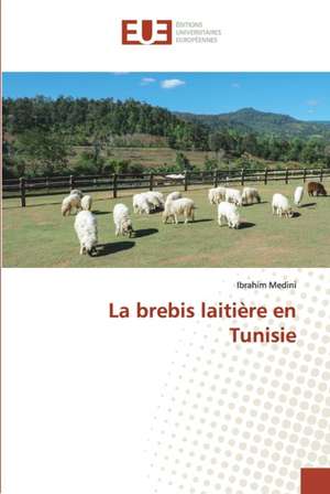 La brebis laitière en Tunisie de Ibrahim Medini