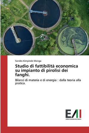 Studio di fattibilità economica su impianto di pirolisi dei fanghi. de Sandro Kimpinde Manga