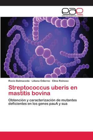 Streptococcus uberis en mastitis bovina de Rocio Balmaceda