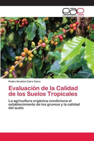 Evaluación de la Calidad de los Suelos Tropicales de Pedro Ibrahim Cairo Cairo