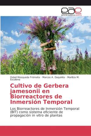 Cultivo de Gerbera jamesonii en Biorreactores de Inmersión Temporal de Osbel Mosqueda Frómeta