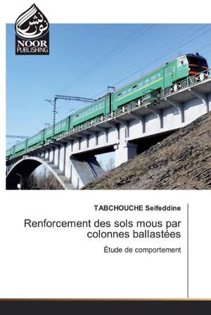 Renforcement des sols mous par colonnes ballastées de Tabchouche Seifeddine