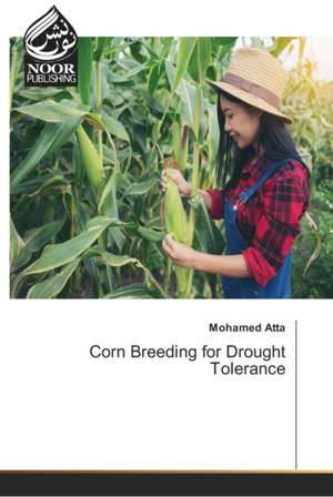 Corn Breeding for Drought Tolerance de Mohamed Atta