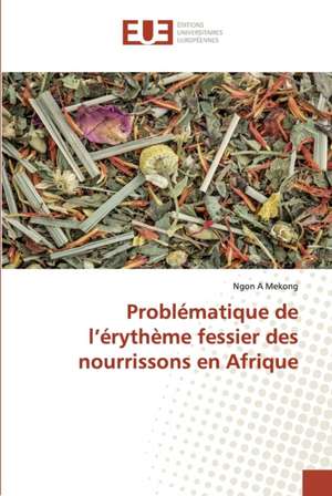 Problématique de l¿érythème fessier des nourrissons en Afrique de Ngon A Mekong