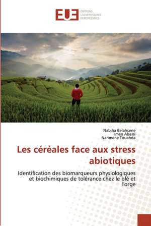 Les céréales face aux stress abiotiques de Nabiha Belahcene