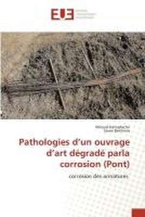 Pathologies d¿un ouvrage d¿art dégradé parla corrosion (Pont) de Miloud Hamadache