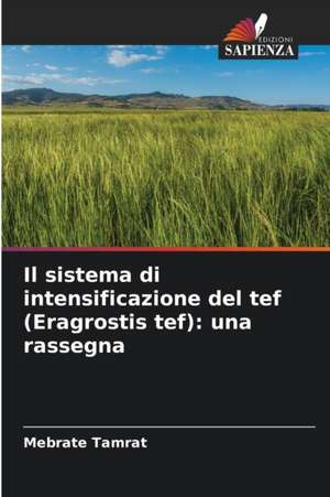 Il sistema di intensificazione del tef (Eragrostis tef): una rassegna de Mebrate Tamrat