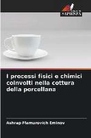 I processi fisici e chimici coinvolti nella cottura della porcellana de Ashrap Mamurovich Eminov