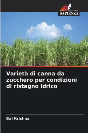 Varietà di canna da zucchero per condizioni di ristagno idrico de Bal Krishna