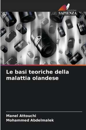 Le basi teoriche della malattia olandese de Manel Attouchi