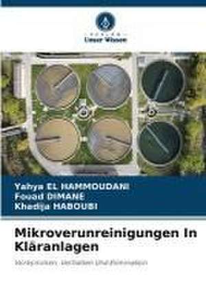 Mikroverunreinigungen In Kläranlagen de Yahya El Hammoudani