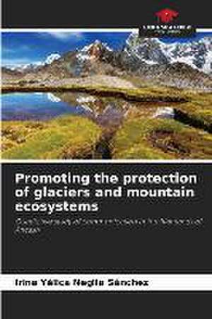 Promoting the protection of glaciers and mountain ecosystems de Irina Yélica Neglia Sánchez