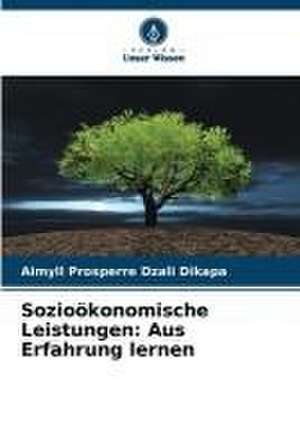 Sozioökonomische Leistungen: Aus Erfahrung lernen de Aimyll Prosperre Dzali Dikapa