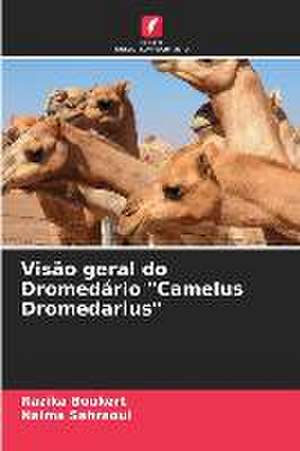 Visão geral do Dromedário "Camelus Dromedarius" de Razika Boukert