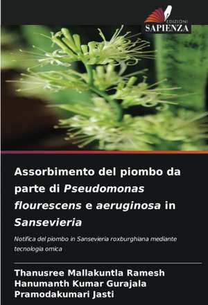 Assorbimento del piombo da parte di Pseudomonas flourescens e aeruginosa in Sansevieria de Thanusree Mallakuntla Ramesh