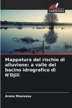 Mappatura del rischio di alluvione: a valle del bacino idrografico di N'Djili de Arens Miansosa