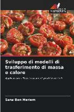 Sviluppo di modelli di trasferimento di massa e calore de Sana Ben Meriem