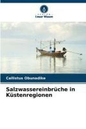 Salzwassereinbrüche in Küstenregionen de Callistus Obunadike