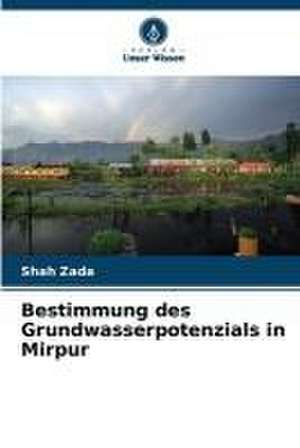 Bestimmung des Grundwasserpotenzials in Mirpur de Shah Zada