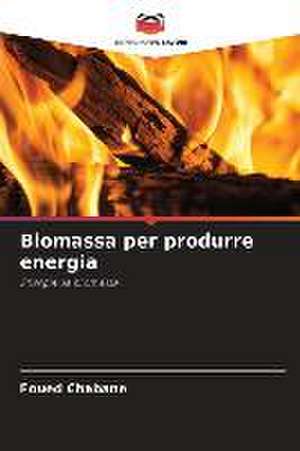 Biomassa per produrre energia de Foued Chabane