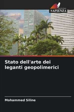 Stato dell'arte dei leganti geopolimerici de Mohammed Siline