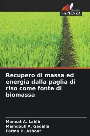 Recupero di massa ed energia dalla paglia di riso come fonte di biomassa de Mennat A. Labib