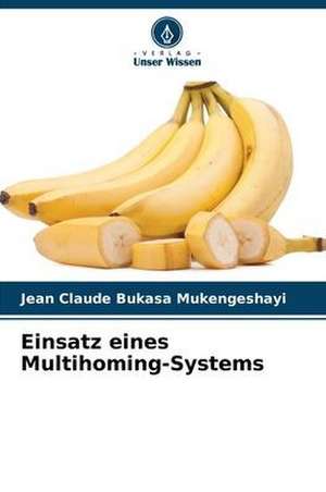 Einsatz eines Multihoming-Systems de Jean Claude Bukasa Mukengeshayi