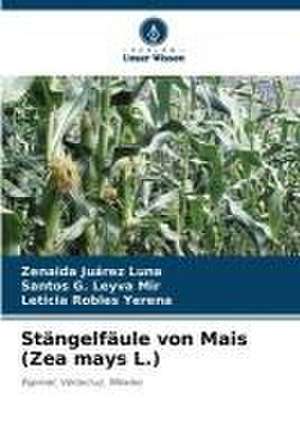 Stängelfäule von Mais (Zea mays L.) de Zenaida Juárez Luna