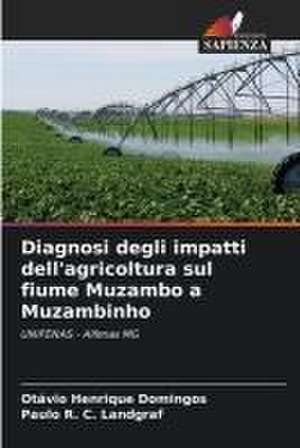 Diagnosi degli impatti dell'agricoltura sul fiume Muzambo a Muzambinho de Otávio Henrique Domingos