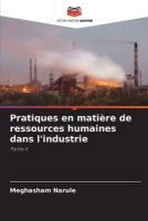 Pratiques en matière de ressources humaines dans l'industrie de Meghasham Narule