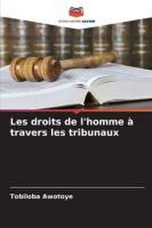 Les droits de l'homme à travers les tribunaux de Tobiloba Awotoye