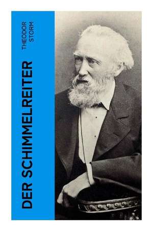 Der Schimmelreiter de Theodor Storm