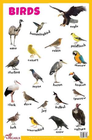 Birds Educational Chart de Pegasus