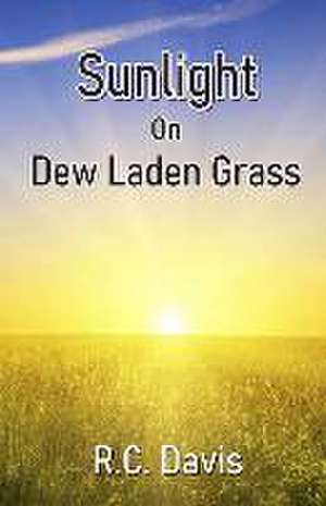 Sunlight On Dew Laden Grass de R. C. Davis