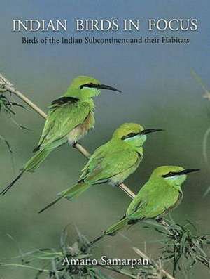 Indian Birds in Focus: Birds of the Indian Subcontinent & their Habitats de Amano Samarpan