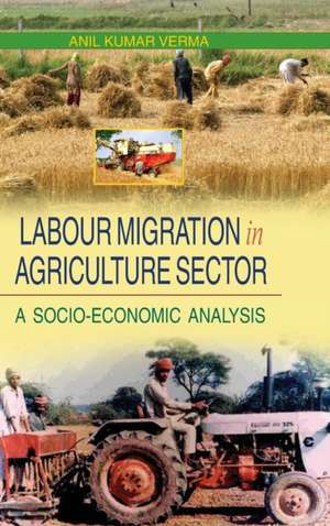 Labour Migration in Agriculture Sector de Anil Kumar Verma