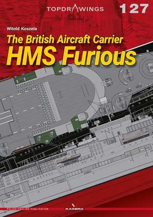 The British Aircraft Carrier HMS Furious de Witold Koszela