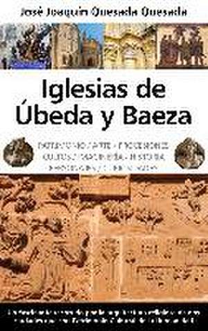 Iglesias de Ubeda y Baeza : patrimonio, arte, procesiones, cultos, imaginaría, historia, personajes, curiosidades de José Joaquín Quesada Quesada