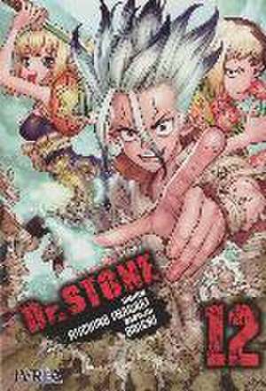 Dr Stone de Boichi