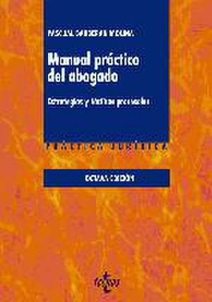 Manual práctico del abogado : estrategias y tácticas procesales de Pascual Jorge Barberán Molina