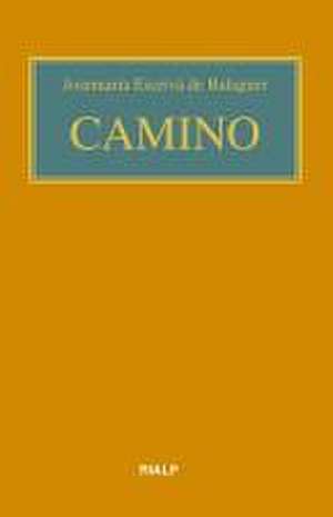 Camino de Santo Josemaría Escrivá De Balaguer
